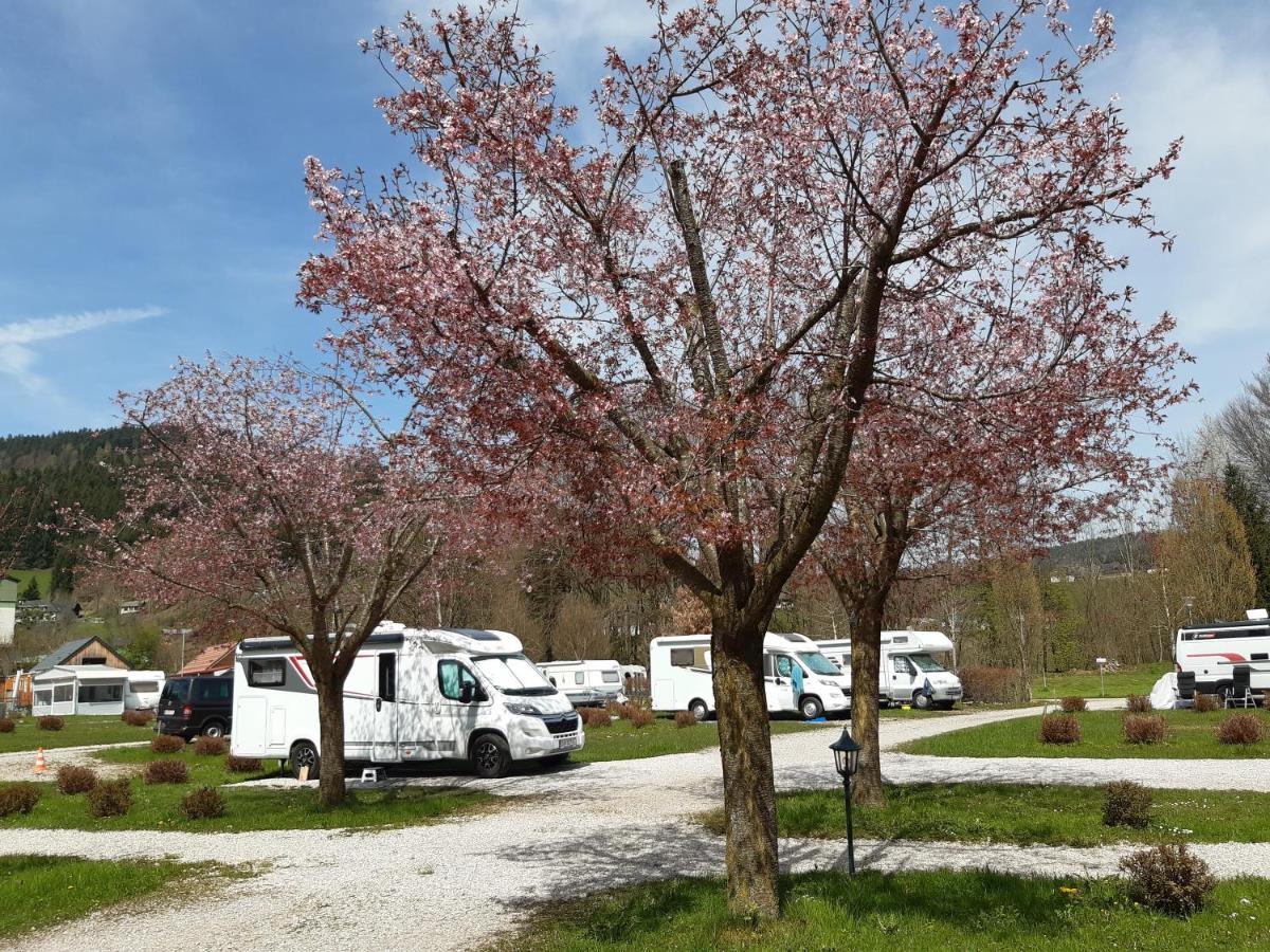 Campingfass Almtal Scharnstein 外观 照片